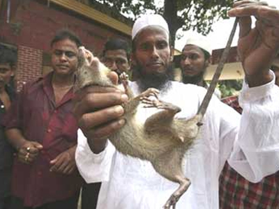 Πρωταθλητής κυνηγός… τρωκτικών