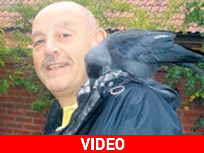 Ένας φτερωτός «μπελάς»