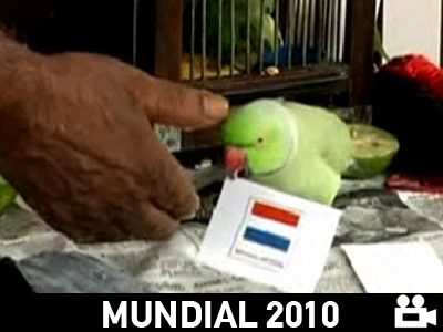 Το ‘πε το ‘πε ο παπαγάλος, ότι θα το πάρει άλλος