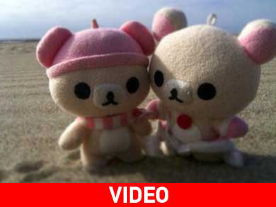 Αμοιβή 1.000 δολαρίων για δύο αρκουδάκια αξίας 10 δολαρίων Αμοιβή 1.000 δολαρίων για δύο αρκουδάκια αξίας 10 δολαρίων