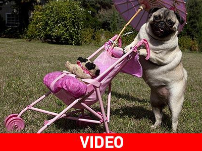 Κάν’ το όπως… οι άνθρωποι