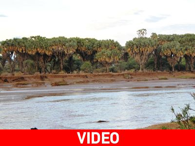 Αίσιο τέλος στην περιπέτεια τουριστών στην Κένυα