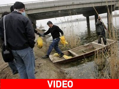 Κατακραυγή για τα νεκρά μωρά σε ποταμό της Κίνας