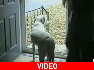 Η δύναμη της συνήθειας…