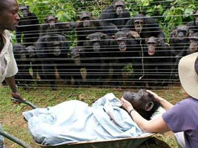 Πόσο μοιάζουμε τελικά;