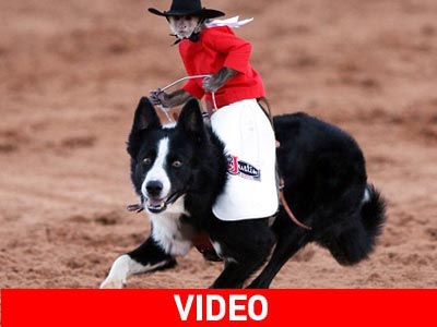 Ένας μοναχικός καβαλάρης… με ουρά