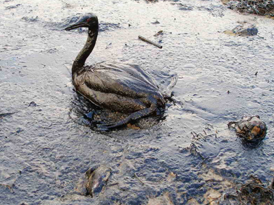 Στο 1,9 δισ. δολάρια τα έξοδα της ΒΡ για την αντιμετώπιση της πετρελαιοκηλίδας