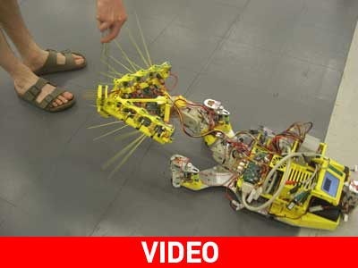 Το ρομπότ – αρουραίος