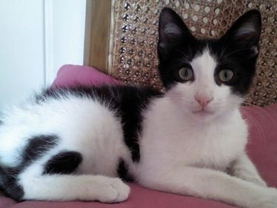 Ο Μικές δίνεται με προίκα!