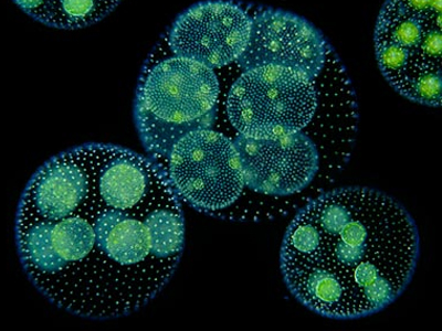 Δεν είμαστε μόνοι…!