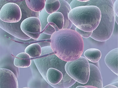 Τα μικρόβια σε εγκυκλοπαίδεια