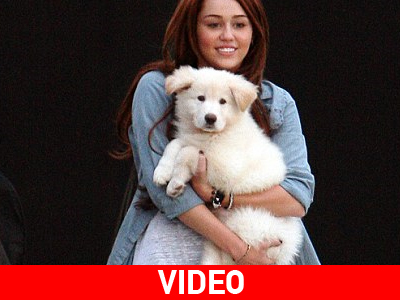 To νέο της αξεσουάρ!