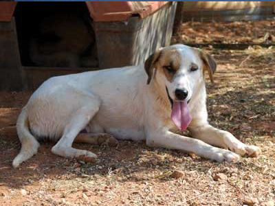 Η Μιράντα θέλει να γίνει μέλος της οικογένειάς σας