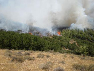 Σε ύφεση η πυρκαγιά στα Χανιά