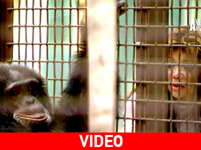 Μια διαφορετική συνάντηση για την La Toya Jackson