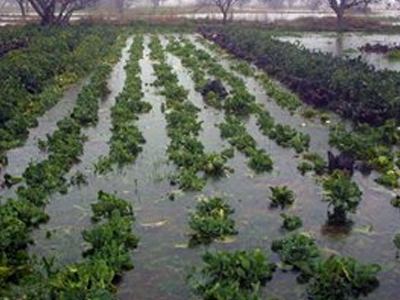 Αποζημιώσεις ΕΛΓΑ ύψους 10 εκατ. ευρώ