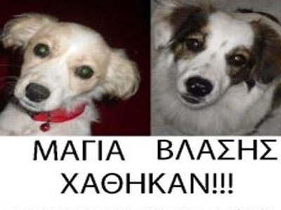Χάθηκαν ο Βλάσης και η Μάγια
