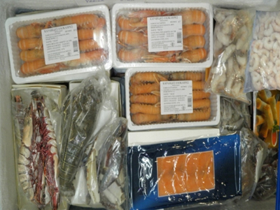 Κατάσχεση αλιευμάτων στη Ραφήνα