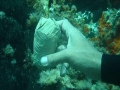 Παράνομη κατοχή εκρηκτικών υλών στη Λάρυμνα