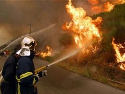 Φωτιά σε δασική έκταση στα Κοκκαλέικα Βελεστίνου