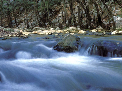 Δίνει μάχη να κρατηθεί στην ζωή