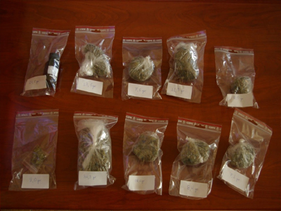 Ταξίδευε… παρέα με ναρκωτικά