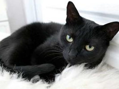 Είναι πολλά τα λεφτά Tommaso