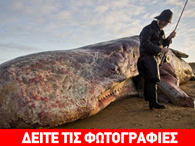 Εκβράστηκε φάλαινα 12,5 μέτρων στην Αγγλία