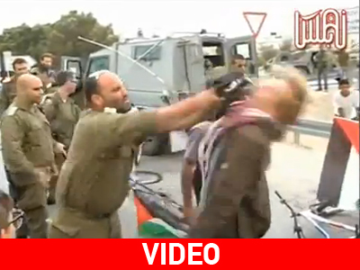 Στη δημοσιότητα video ξυλοδαρμού Δανού ακτιβιστή