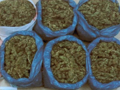 Μετέφεραν 274 κιλά κάνναβη