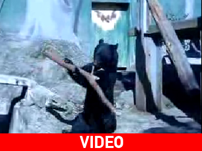 Εξασκείται στις πολεμικές τέχνες