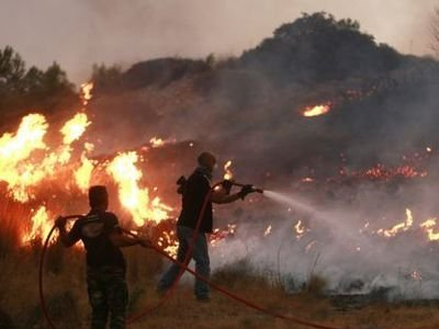 Υπό μερικό έλεγχο η φωτιά στη Χαλκιδική