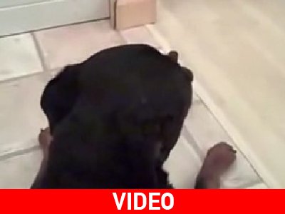 Μην αγγίζετε την μπύρα μου