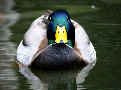 Της βγήκε ξινή… η καλή πράξη