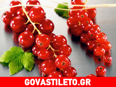 Ανακαλύψτε το «μαγικό» φραγκοστάφυλο