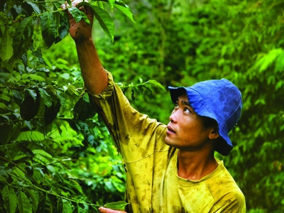 Αγνοούν το νόμο