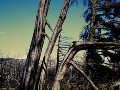 Έκτωρ Δημησιάνος: «Πάρνηθα»