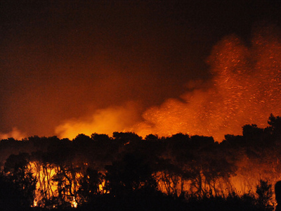 Πυρκαγιά στην Χαλκιδική