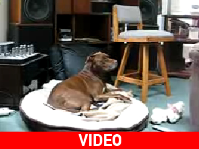 Ένα ξεχωριστό ντουέτο…