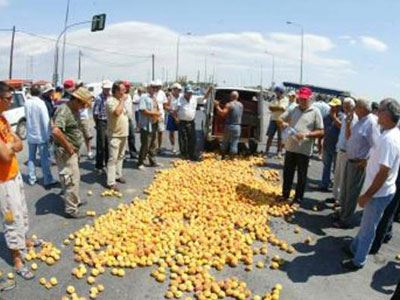 Στους δρόμους οι ροδακινοπαραγωγοί