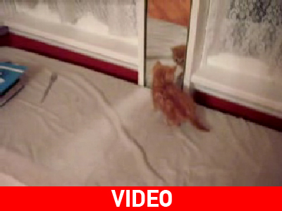 Τα «έβαλε» με το είδωλό του…