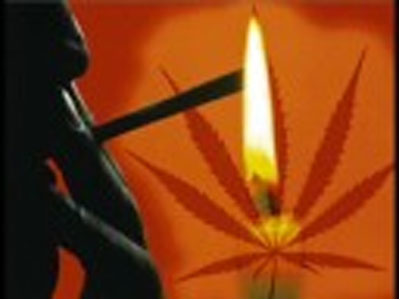 Εχθρός της ανδρικής σεξουαλικότητας η μαριχουάνα