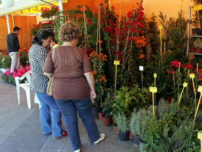 Αναβολή λόγω εκλογών! Αναβολή λόγω εκλογών!