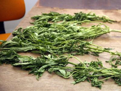 Την… «τσάκωσαν» με ναρκωτικά