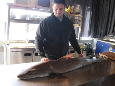 Από τον Ευβοϊκό…σε ουζερί! Από τον Ευβοϊκό…σε ουζερί!