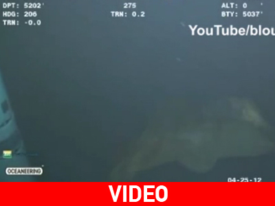 Μέδουσα- μαμούθ στον Ατλαντικό Ωκεανό