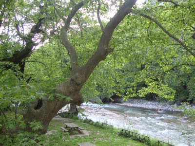 Νεκρός συνταξιούχος στα Τρίκαλα Νεκρός συνταξιούχος στα Τρίκαλα