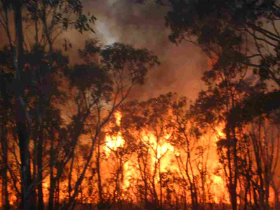 Σε εξέλιξη η πυρκαγιά στη Δόμβραινα Θήβας