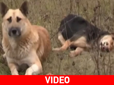 Αυτό θα πει πραγματική φιλία!