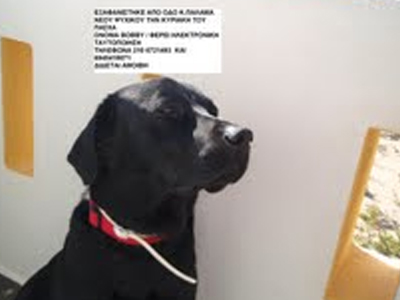 Ο Μπόμπι είναι και πάλι στην οικογένειά του